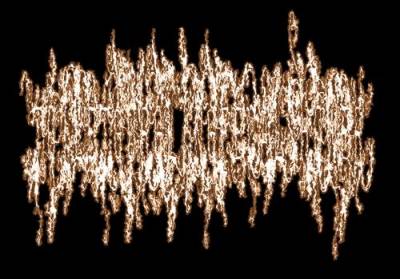 logo Toiletgurgling Fecal Shower